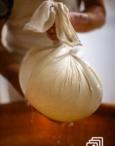 a person holding a bag of milk in a cheese factory