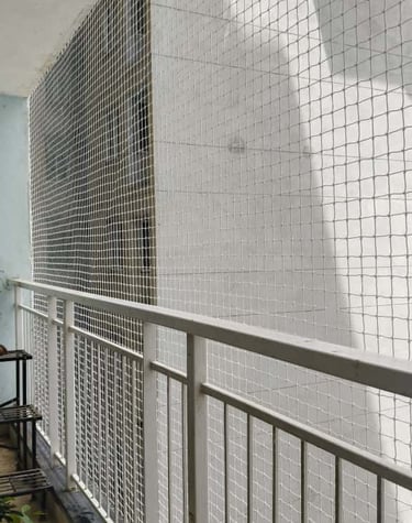 pigeon nets in nagarbhavi