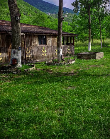 Trabzon Kamp Alanı