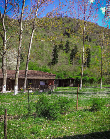 Maçka Doğal Turizim
