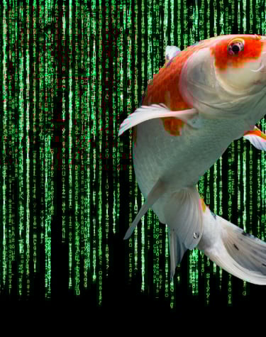 Breaking Free from the Martix