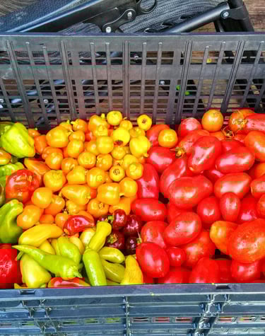 Fresh Produce
