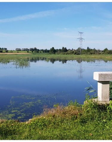 La Dombes, ses étangs et son calme