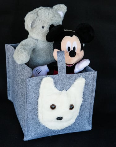 Childrens Storage Box