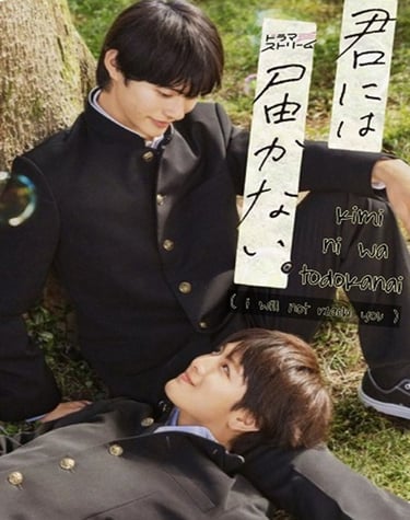 kimi ni wa todokanai
