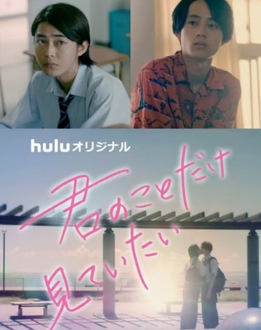 kimi no kote dake mite itai
