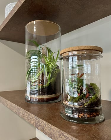 Terrariums uniques réalisés par Bocal terrarium à Clermont-Ferrand.