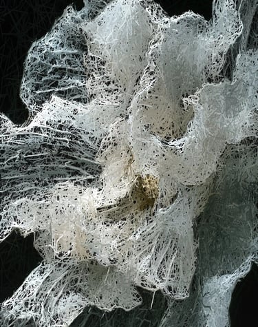 digital art, visual art, digital paintings, Joanna Wlaszyn