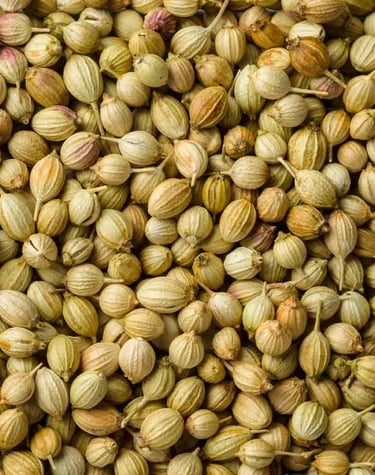 Coriander Seeds