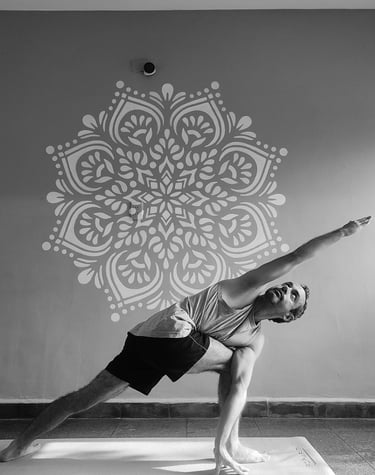 maykol-parivrtta-parsvakonasana