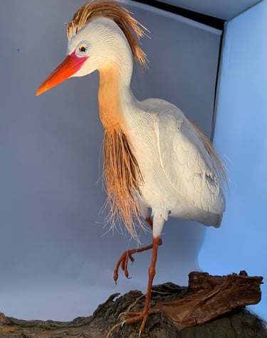 Carved by Louis Livan