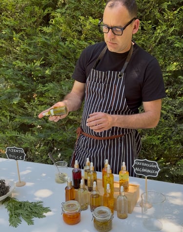 taller vermut