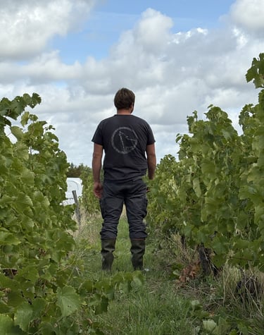 Closerie de Chanteloup Montlouis vendanges 2025