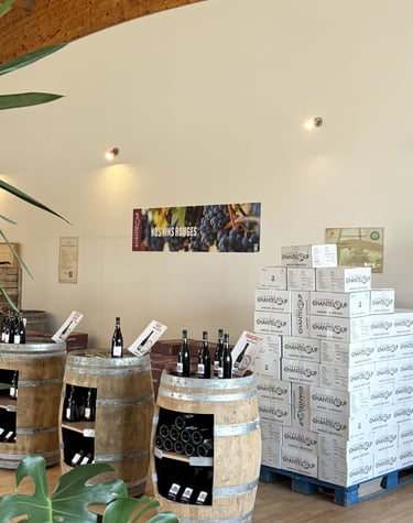 Vins rouges Touraine vins rouge Amboise Côt côt ri côt Malbec Pinot Noir Félix