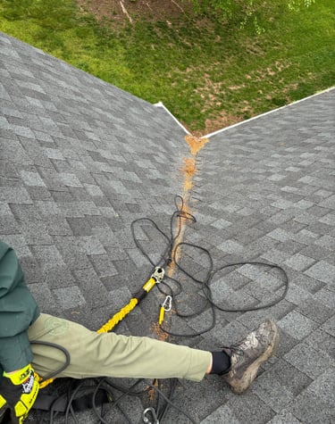 a shadow of a person on a roof with a tree in the background