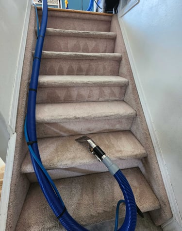 Edmonton best carpet cleaning