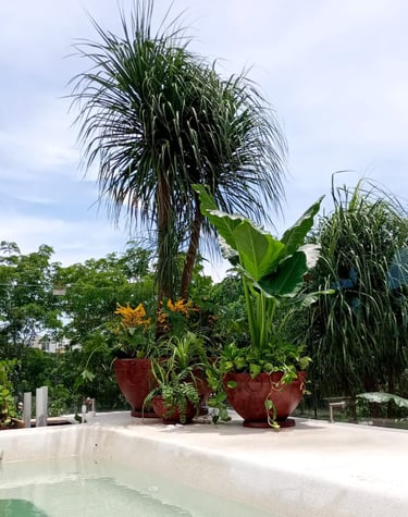 Macetas anilladas de fibra de vidrio