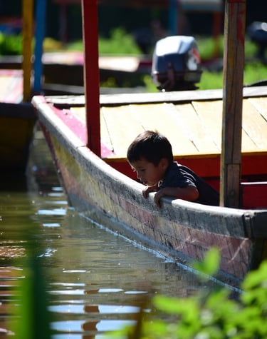 A young boy looking over the edge of a colorful wooden trajinera boat into the water at Xochimilco.