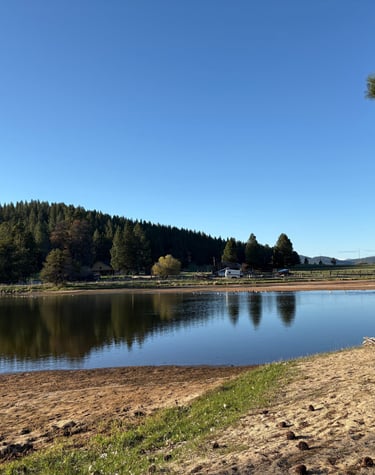 A lake with trees and a blue sky