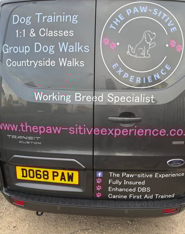 The Paw-sitive Experience dog training and group dog walking van, showing business logo, services offered, website, and licen