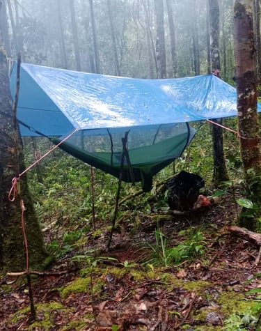 hammock and tarpaulin the go to jungle accommodation 
