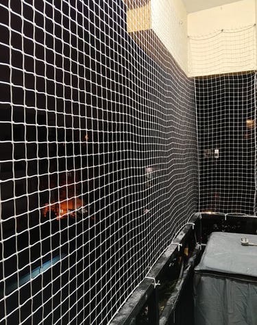 Close-up of a sturdy pigeon net securely installed on a balcony railing.