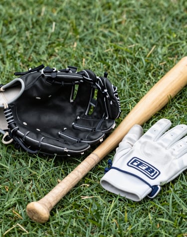 baseball glove and bat