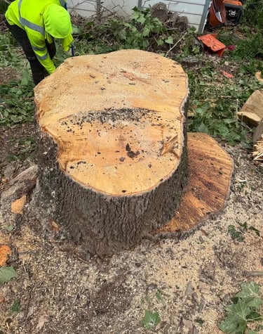 stump grinding