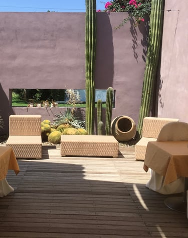 Modern outdoor patio with wicker lounge furniture and tall saguaro cacti against a purple wall.