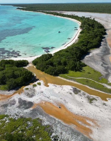 Saona Island
