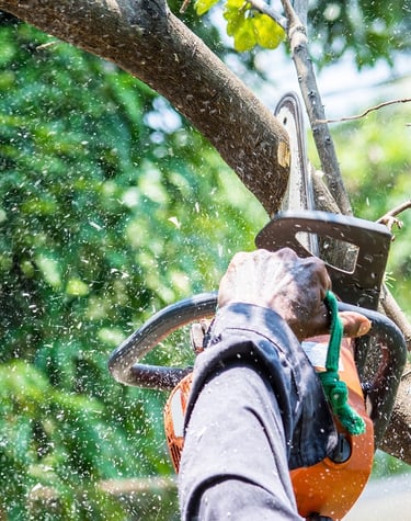 tree trimming services Slidell