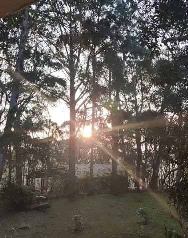 O ciclo biorrítmico é garantido pela alvorada e o por do sol.