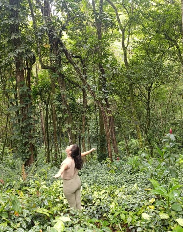 Trilhas de contemplação e silêncio em reserva preservada da Mata Atlântica para descanso profundo .