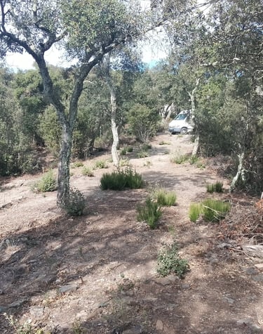 un utilitaire garé en pleine nature