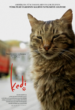 Kedi Film Afişi