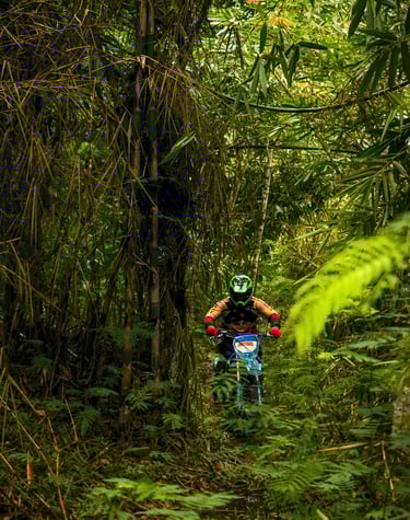 Bali dirt bike tours