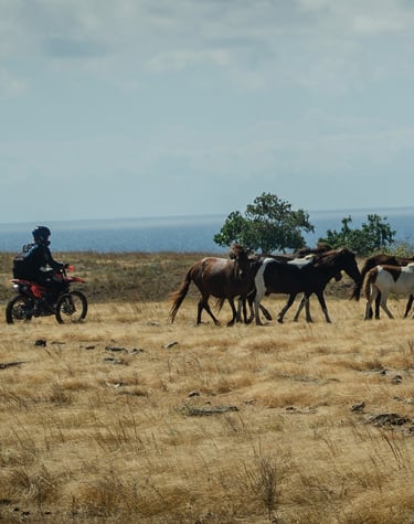 Sumba Dirt Bike Adventure
