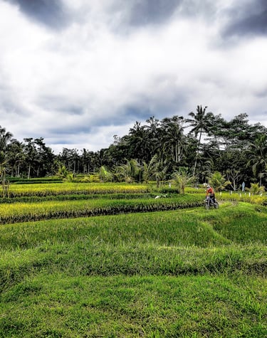 bali enduro tours