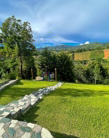 a grassy field with stone steps leading to a grassy area