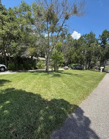 Expert landscaping and yard clean-up services in Sebring, Florida by Threefold