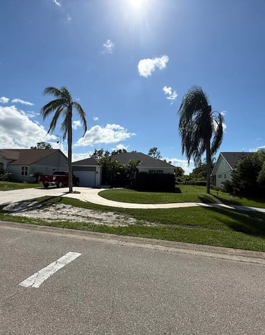 Expert landscaping and yard clean-up services in Sebring, Florida by Threefold
