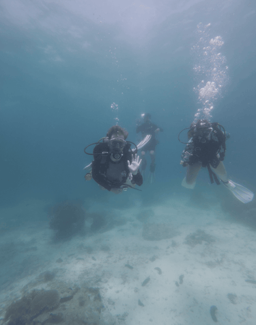 Open Water Divers