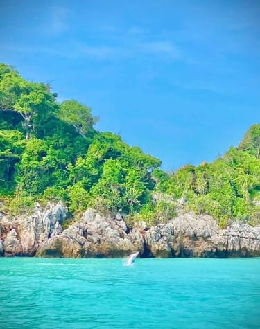 pink dolphin tour samui