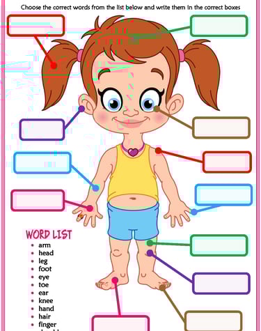 body parts vocabulary esl matching exercise worksheet for kids