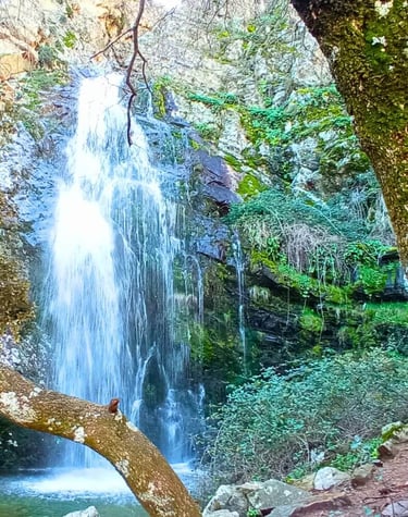 cascada Hoz de carboneros