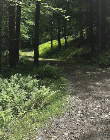 Addison, NY Switchbacks