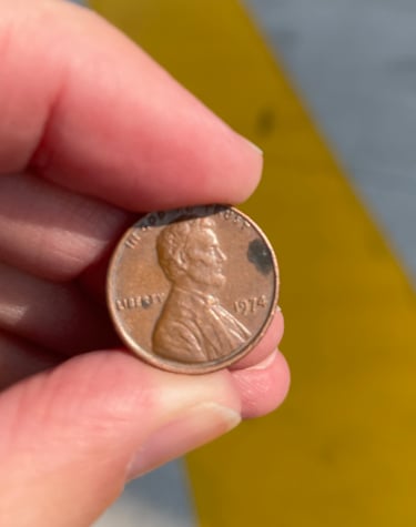 a person holding a penny penny penny penny penny penny penny penny penny penny penny penny