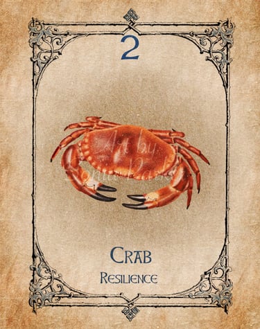Crab card from the animal spirit oracle deck