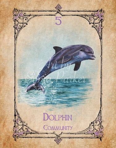 Dolphin card from the animal spirit oracle deck