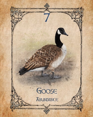 Goose card from the animal spirit oracle deck